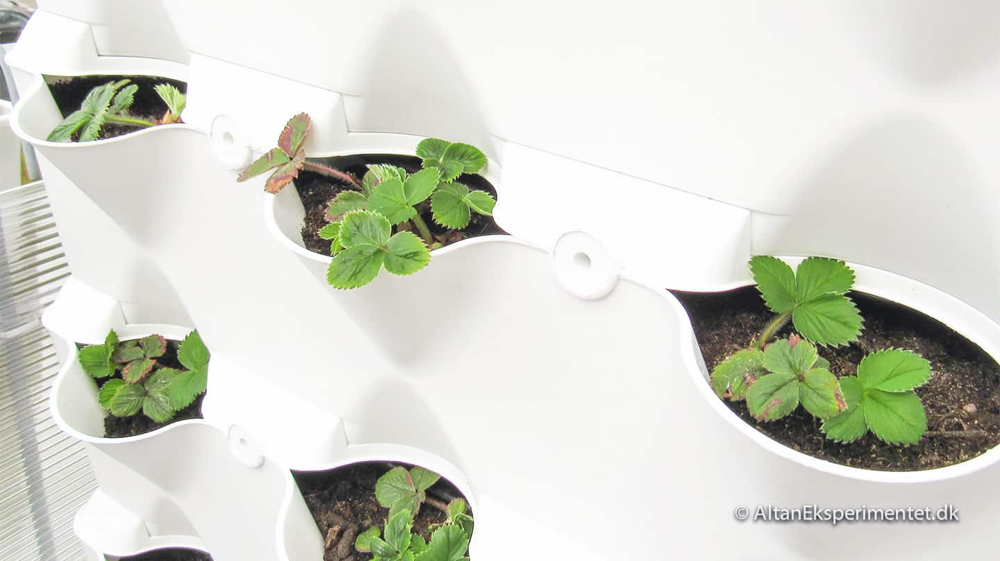 Diy arkiv altaneksperimentet.dk