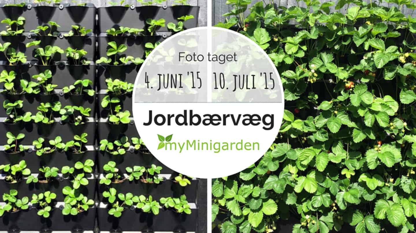 Lodrette haver er det nye sort altaneksperimentet.dk