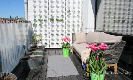 Billeder af forårsblomster på altanen