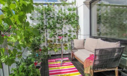 10 meget PINK altanbilleder..