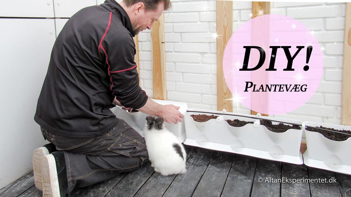 DIY – Minigarden Plantevæg – Gør det selv