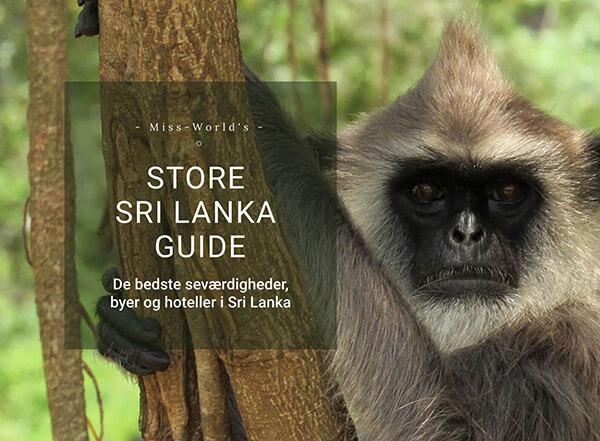 Sri Lanka blog